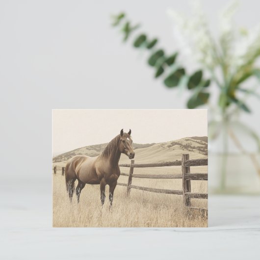 Paard op de Range  Sepia Briefkaart (Staand voorkant)