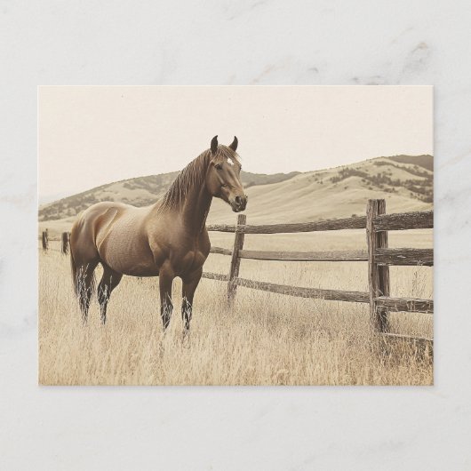 Paard op de Range  Sepia Briefkaart (Voorkant)