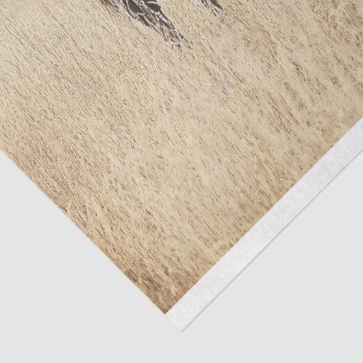 Paard op de Range  Sepia Decoupage Tissuepapier (Detail)