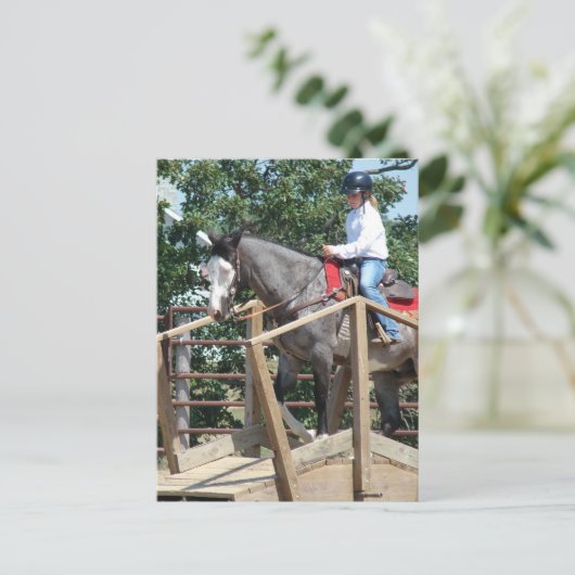 Paard op een Bridge Trail Class County Fair Briefkaart (Staand voorkant)