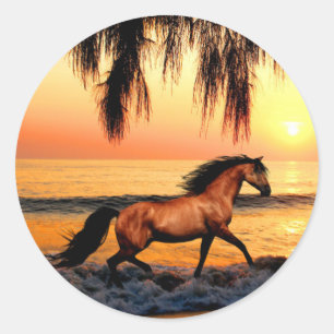 Paard op het strand bij zonsondergang ronde sticker