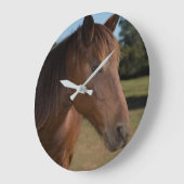 Paard op Ronde Klok (Hoek)