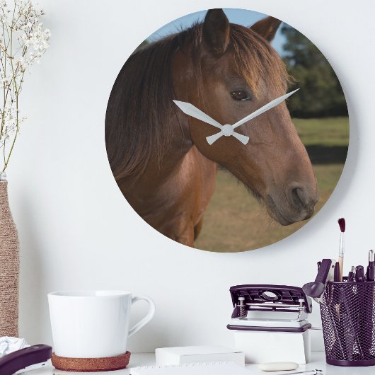 Paard op Ronde Klok