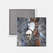 PAARD OP VAT MAGNEET (Voorkant / Achterkant)