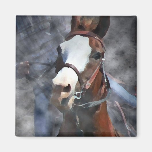 PAARD OP VAT MAGNEET (Voorkant)