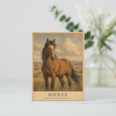 Paard Open Graslanden VINTAGE Briefkaart (Staand voorkant)