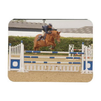 Paard over hek flexibele magneet