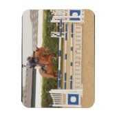 Paard over hek flexibele magneet (Verticaal)