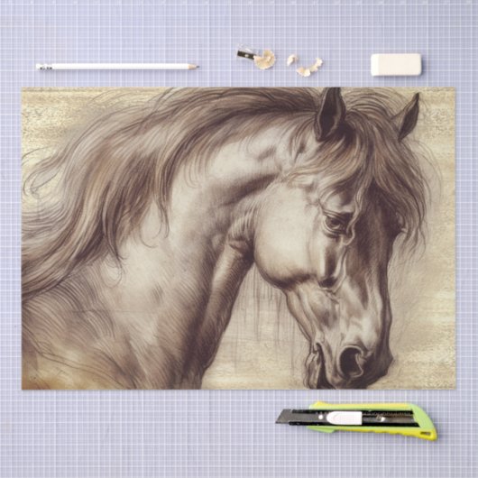 Paard Paardenschets Tissuepapier (Craft)