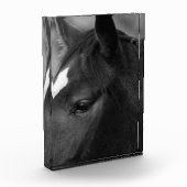 Paard pba fotoblokken (Links)