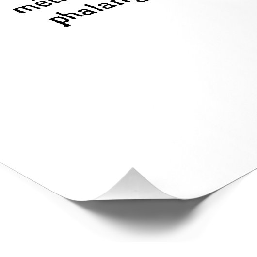 Paard Perfect Poster (Hoek)