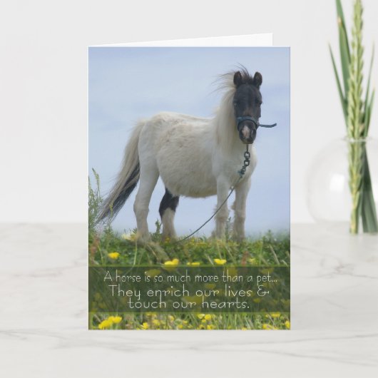 Paard Pet Sympathy Card - Equine Sympathy - Pit Po Kaart (Voorkant)