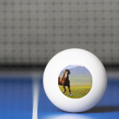 Paard Pingpongbal (Net)