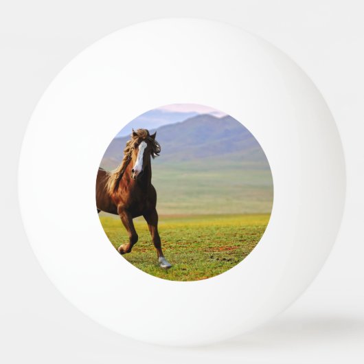 Paard Pingpongbal (Voorkant)