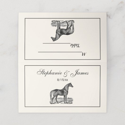  paard plaatskaartje (Buitenkant ongevouwen)