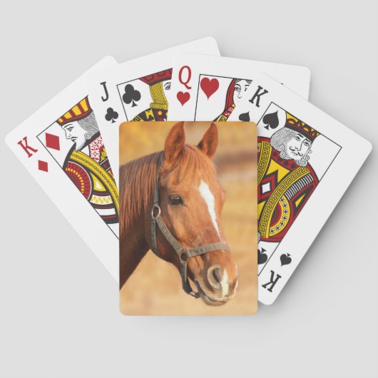 Paard Pokerkaarten (Achterkant)