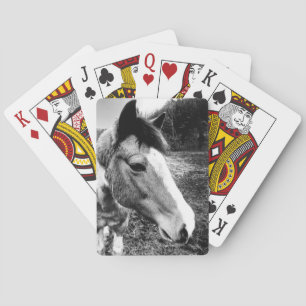 Paard Pokerkaarten