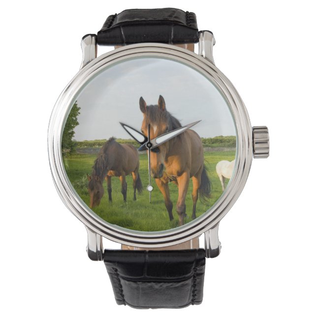 Paard Polshorloge Horloge (Voorkant)