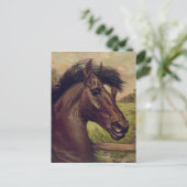  paard portret een prins van het bloed 1893 briefkaart (Staand voorkant)