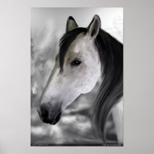 Paard Poster