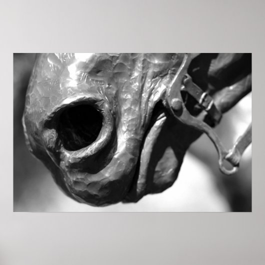 Paard Poster (Voorkant)