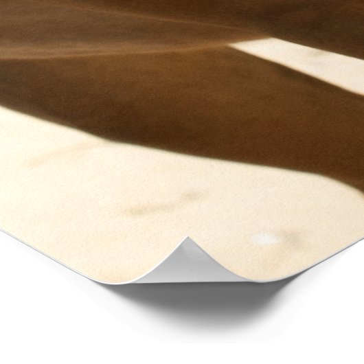 Paard Poster (Hoek)
