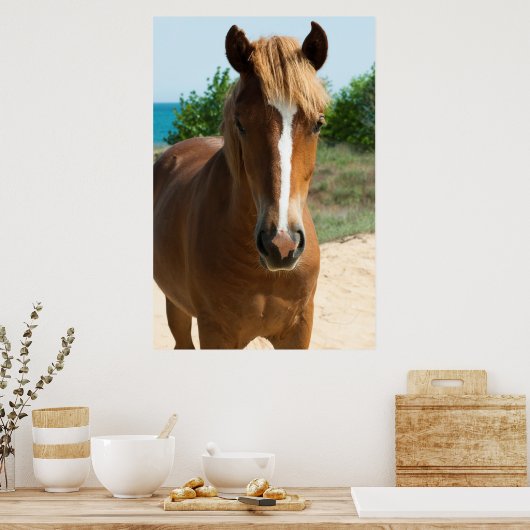 Paard Poster (Keuken)