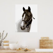 Paard Poster (Keuken)