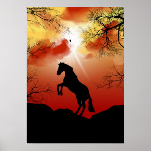 Paard Poster