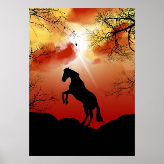 Paard Poster (Voorkant)