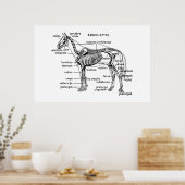 Paard Poster (Keuken)