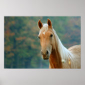 Paard Poster (Voorkant)