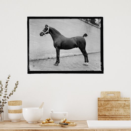  paard poster (Keuken)