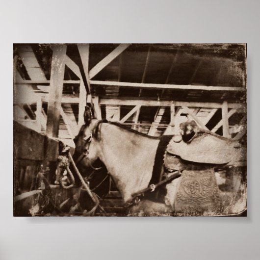 paard poster (Voorkant)