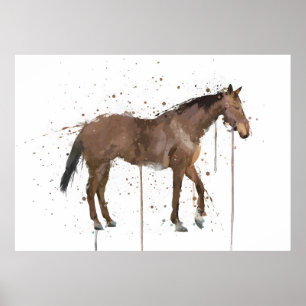 Paard Poster