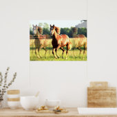 Paard Poster (Keuken)