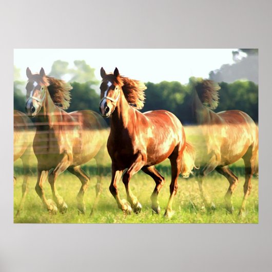 Paard Poster (Voorkant)