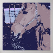 Paard Poster (Voorkant)