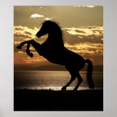 paard poster (Voorkant)