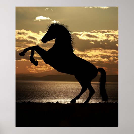 paard poster (Voorkant)