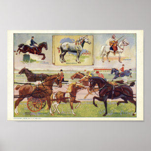  paard print diverse rassen 1912