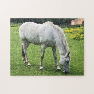 Paard Puzzel - Een Witte Paard Grazend in een Veld