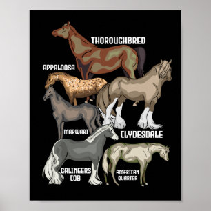 Paard Rassen Paardrijden Gift Vrouwen Paarden Poster
