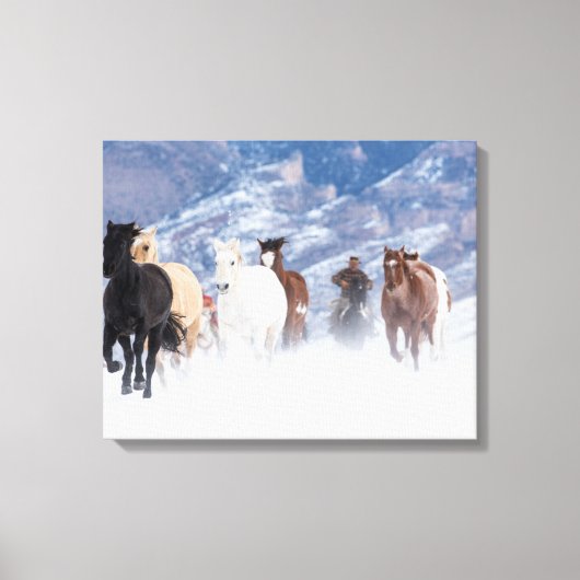 Paard rent door de sneeuw canvas afdruk (Voorkant)