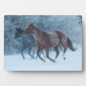 Paard rijden fotoplaat (voorkant)