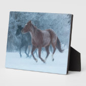 Paard rijden fotoplaat (Zijkant)