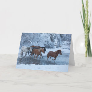 Paard rijden in de winter kaart
