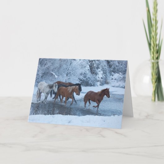 Paard rijden in de winter kaart (Voorkant)
