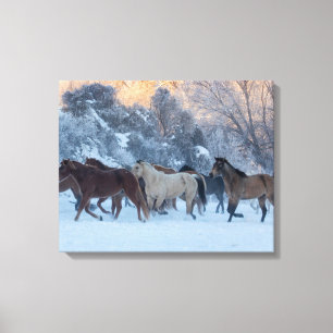 Paard rijden in de winter op Hideout Ranch Canvas Afdruk