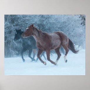 Paard rijden poster